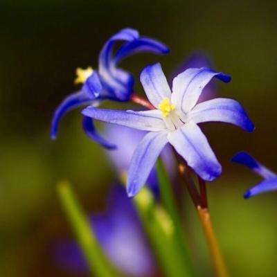 乐鱼平台app下载